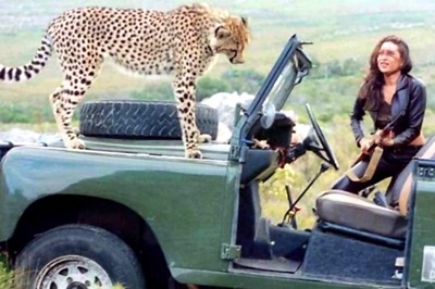 When Karisma Kapoor Shared Screen Space With A Cheetah