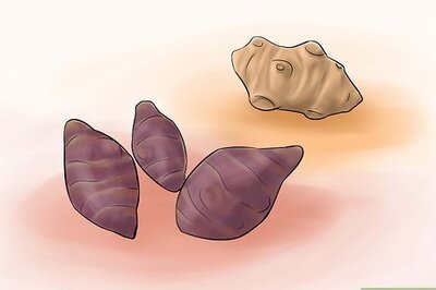 How to Grow Perennial Vegetables