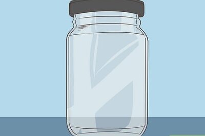 How to Make a Bug Terrarium