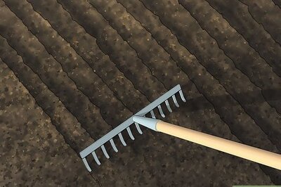 How to Kill Nematodes