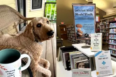 Why This US Library Demands Pictures Of Pets When Customers Return Torn Books