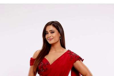 Famous TV Actors Who Struggled For Work After Successful Debut