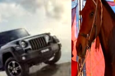 In This Bihar Fair, 7 Feet Tall Australian Horse Has Locals’ Attention