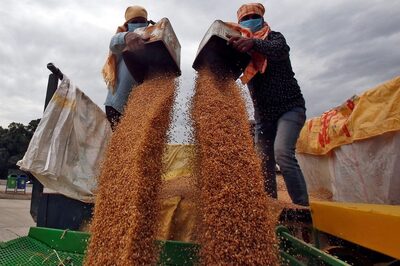 'Shouldn't Go Way of Covid Jabs': Criticised for Wheat Export Ban Amid Rise in Food Prices, India Slams West