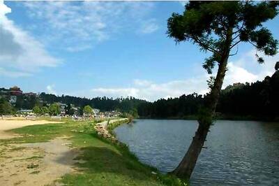 NRI musician document sounds describing Bengal