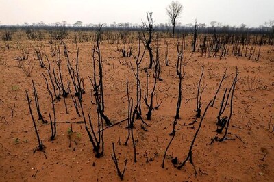 World Soil Day 2019: Date, Theme, Significance and History