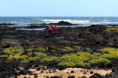 Over 100 Dead or Missing After Vessel Capsizes in DR Congo