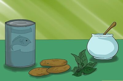 How to Make No Bake Cat Treats