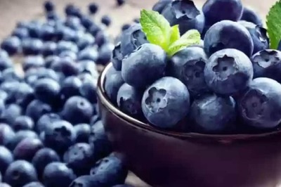 Blueberries To Millets, 5 Foods That Help Cleanse Kidneys