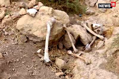 Families of 2 Indians Killed in Iraq Told to Receive Mortal Remains Based on Wrong Info