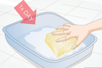 How to Avoid Germs when Cleaning a Litter Box