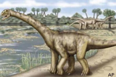 Giant dinosaur bones found in Spain