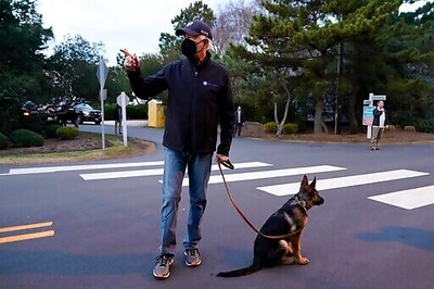 Biden's New German Shepherd Draws Attention From Pup-arazzi