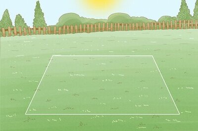 How to Grow Wheat in Your Garden