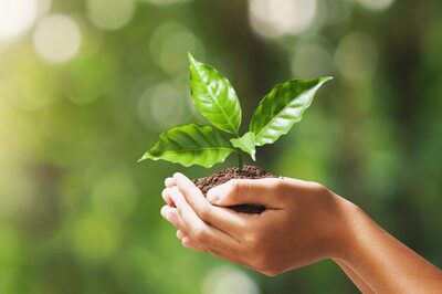 Green Deposits: RBI Releases Latest Guidelines For Banks, NBFCs