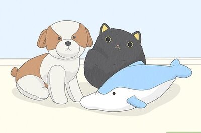 How to Design a Stuffed Animal Pattern