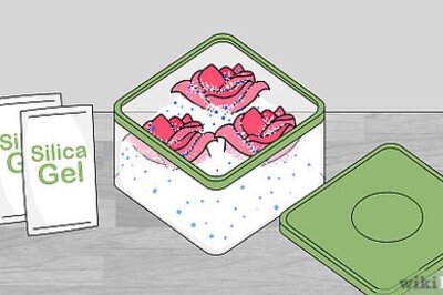 How to Preserve a Rose