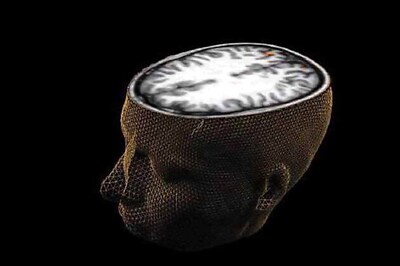 Scientists map how brain organises everything we see