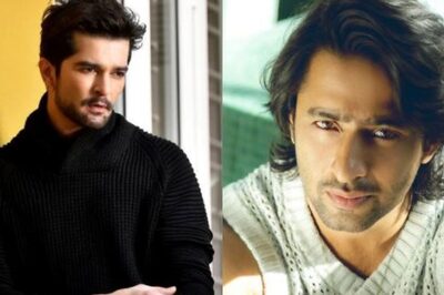 Raqesh Bapat to Join Hands With Shaheer Sheikh for His Next TV Show? Details Inside