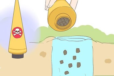 Proven Ways to Get Rid of Garden Moles for Good