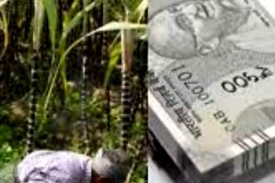 In Telangana’s Zaheerabad, Sugarcane A Lifeline To Farmers For 50 Years