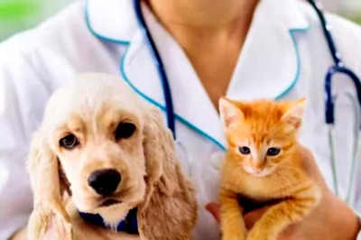 Career Wise: 'Paws'itively Promising - Charting a Veterinary Career in India