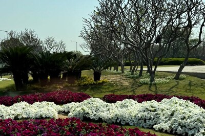 Anand Mahindra Thinks Delhi’s Chanakyapuri Is The ‘Green’ Benchmark For All City-Airport Roads