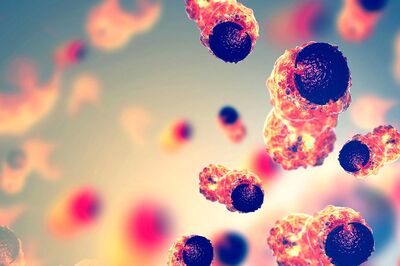 News18 Afternoon Digest: India Gives Nod to 3 More Vaccines, Maha CM Thackeray to Meet Covid Task Force Soon & Other Top Stories