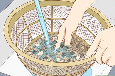 How to Add Fish to a New Tank