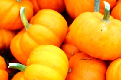 Pumpkin Sale Leads To Rs 1.2 Crore Lottery Win For This Man