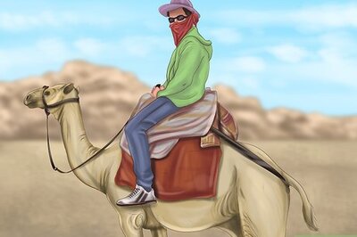 How to Ride a Camel
