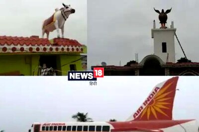 Plane to Nandi Bull, This Bihar Village is Unique For Concrete Objects on Rooftops
