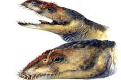 The great ancient reptile discovery