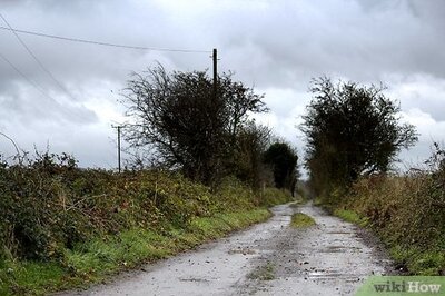 How to Get in Touch With Your Inner Scorpio