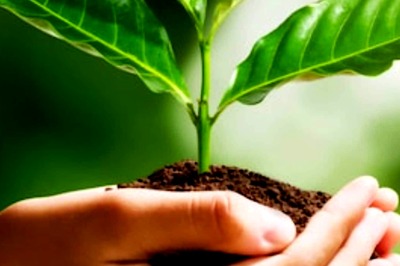 Gurugram School, Swedish Embassy Collaborate to Engage Youth in Dialogue on Climate Change