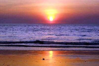 Goa to take up British advisory issue with Centre