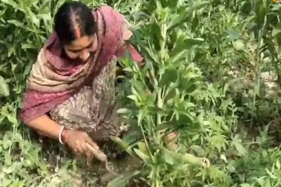 Inspired By TV Show, Bihar Woman Turns To Farming and Earns Rs 5000 Per Day