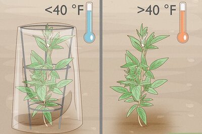 How to Grow Food in Winter