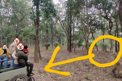 3 Jokers, 1 Kid, 1 Tiger: Dehradun Man's Post on Tourists' Foolish 'Stunt' in Jungle Goes Viral