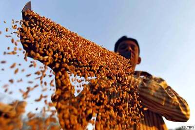 Cabinet Committee approves 20 lakh tonnes of wheat exports
