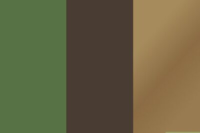 What Color Goes With Green? 20+ Dazzling & Tasteful Pairing Options