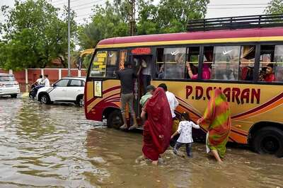 Warm February, Foggy May: How Delhi-NCR Weather Reflects Dangers of Climate Change