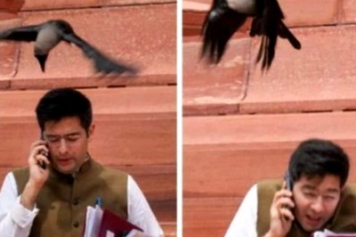 AAP’s MP Raghav Chadha Trolled With Memes After Crow Attack Outside Parliament