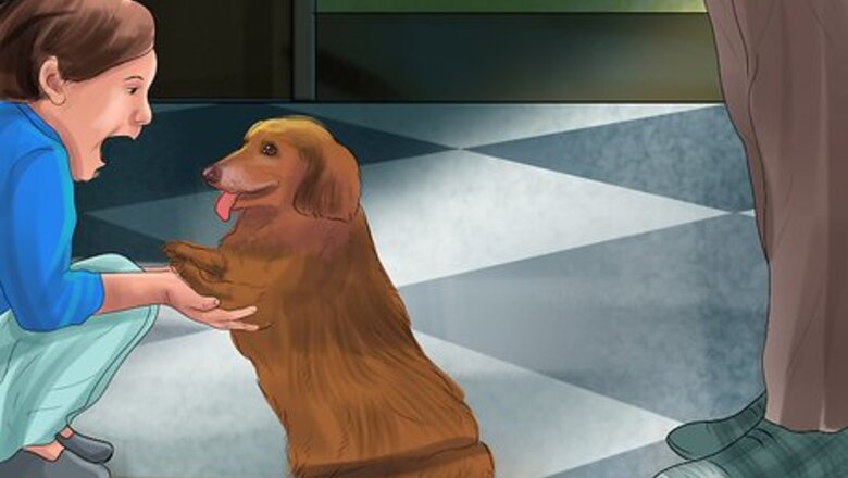 How to Keep Toy Breed Dogs Safe Around Kids