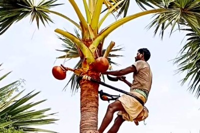 Tamil Nadu Toddy Movement Holds Protest Urging State to Revoke Ban on 'Palm Wine'; Here's Why