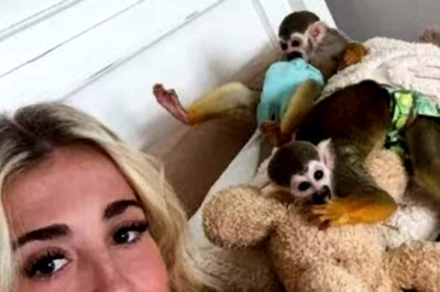 Watch: Woman Prepares Baby Formula For Her Pet Squirrel Monkeys As They Play Around
