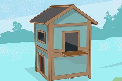 How to Keep Kittens Warm Outside in Winter