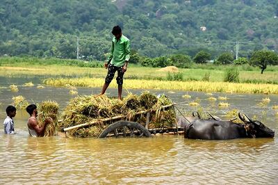 Monsoon Mayhem Batters Western India, Water from Maharashtra Dam Floods North Karnataka