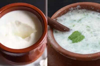 Buttermilk Vs Curd: Which One Is A Healthier Option? Let’s Find Out