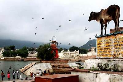 Cow Slaughter Issue Cropped Up in Constituent Assembly Debates